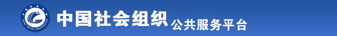 看擦逼全国社会组织信息查询